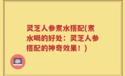灵芝人参煮水搭配(煮水喝的好处：灵芝人参搭配的神奇效果！)