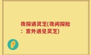 夜探遇灵芝(夜间探险：意外遇见灵芝)