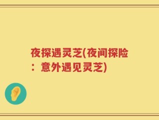 夜探遇灵芝(夜间探险：意外遇见灵芝)