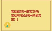 雪后能野外采灵芝吗(雪后可否在野外采摘灵芝？)