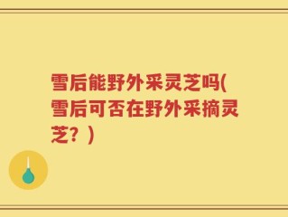 雪后能野外采灵芝吗(雪后可否在野外采摘灵芝？)