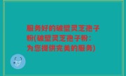 服务好的破壁灵芝孢子粉(破壁灵芝孢子粉：为您提供完美的服务)