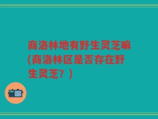 商洛林地有野生灵芝嘛(商洛林区是否存在野生灵芝？)