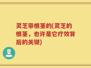 灵芝带根茎的(灵芝的根茎，也许是它疗效背后的关键)