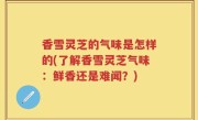 香雪灵芝的气味是怎样的(了解香雪灵芝气味：鲜香还是难闻？)