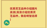 优质灵芝品种介绍图片高清(高清介绍优质灵芝品种，做出明智选择)