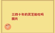 三四十年的灵芝能吃吗图片