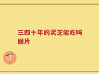 三四十年的灵芝能吃吗图片