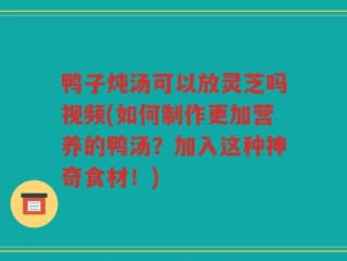 鸭子炖汤可以放灵芝吗视频(如何制作更加营养的鸭汤？加入这种神奇食材！)