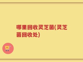 哪里回收灵芝菌(灵芝菌回收处)