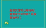 鹿茸灵芝可以炖鸡吗(鹿茸灵芝可炖鸡？这是真的吗？)