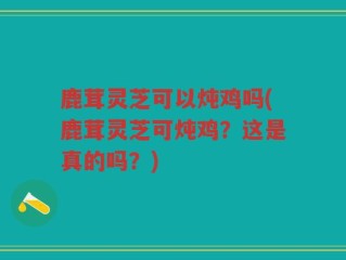 鹿茸灵芝可以炖鸡吗(鹿茸灵芝可炖鸡？这是真的吗？)