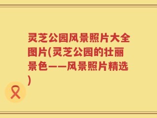 灵芝公园风景照片大全图片(灵芝公园的壮丽景色——风景照片精选)
