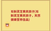 石斛灵芝黄芪鸽子(石斛灵芝黄芪鸽子，天然健康营养佳品)