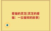 爱猫的灵芝(灵芝的爱猫：一位猫奴的故事)