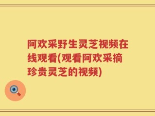 阿欢采野生灵芝视频在线观看(观看阿欢采摘珍贵灵芝的视频)