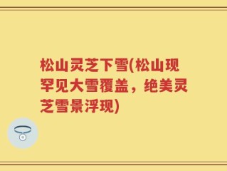 松山灵芝下雪(松山现罕见大雪覆盖，绝美灵芝雪景浮现)