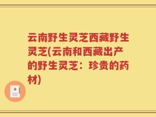 云南野生灵芝西藏野生灵芝(云南和西藏出产的野生灵芝：珍贵的药材)