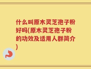 什么叫原木灵芝孢子粉好吗(原木灵芝孢子粉的功效及适用人群简介)