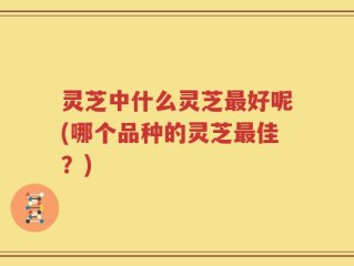 灵芝中什么灵芝最好呢(哪个品种的灵芝最佳？)