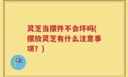 灵芝当摆件不会坏吗(摆放灵芝有什么注意事项？)