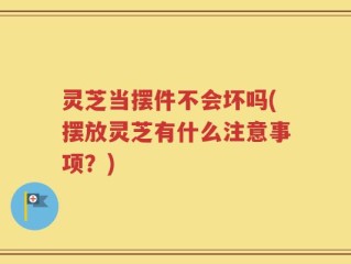 灵芝当摆件不会坏吗(摆放灵芝有什么注意事项？)