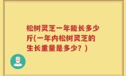 松树灵芝一年能长多少斤(一年内松树灵芝的生长重量是多少？)