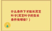 什么条件下才能长灵芝叶子(灵芝叶子的生长条件有哪些？)