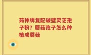 茹神牌复配破壁灵芝孢子粉？蘑菇孢子怎么种植成蘑菇
