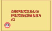 自采野生灵芝怎么吃(野生灵芝的正确食用方式)