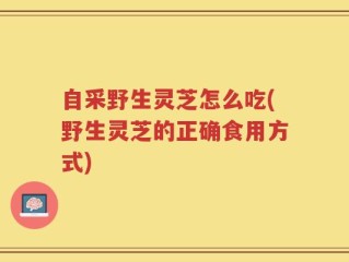 自采野生灵芝怎么吃(野生灵芝的正确食用方式)