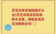 灵芝汤真实视频图片大全(灵芝汤真实实拍视频大合集，震撼呈现灵芝汤畅销全球！)