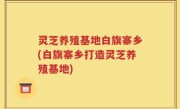灵芝养殖基地白旗寨乡(白旗寨乡打造灵芝养殖基地)