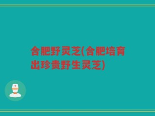 合肥野灵芝(合肥培育出珍贵野生灵芝)