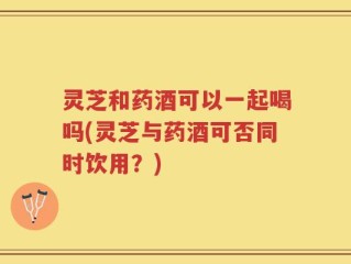 灵芝和药酒可以一起喝吗(灵芝与药酒可否同时饮用？)