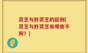 灵芝与野灵芝的区别(灵芝与野灵芝有哪些不同？)