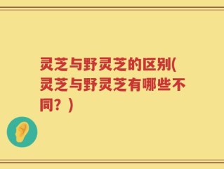 灵芝与野灵芝的区别(灵芝与野灵芝有哪些不同？)