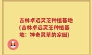 吉林卓远灵芝种植基地(吉林卓远灵芝种植基地：神奇灵草的家园)