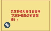灵芝种植对身体有害吗(灵芝种植是否有害健康？)