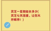 灵芝一星期能长多少(灵芝七天涨重，让你大开眼界！)
