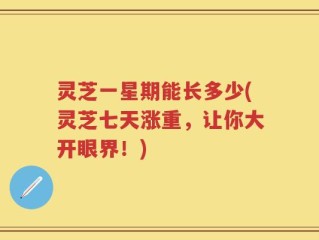 灵芝一星期能长多少(灵芝七天涨重，让你大开眼界！)