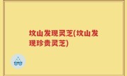 坟山发现灵芝(坟山发现珍贵灵芝)