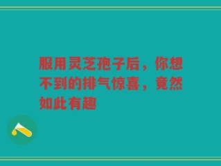 服用灵芝孢子后，你想不到的排气惊喜，竟然如此有趣