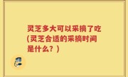 灵芝多大可以采摘了吃(灵芝合适的采摘时间是什么？)