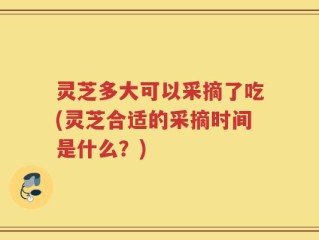灵芝多大可以采摘了吃(灵芝合适的采摘时间是什么？)