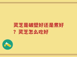 灵芝是破壁好还是煮好？灵芝怎么吃好