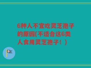 6种人不宜吃灵芝孢子的原因(不适合这6类人食用灵芝孢子！)