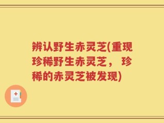辨认野生赤灵芝(重现珍稀野生赤灵芝， 珍稀的赤灵芝被发现)