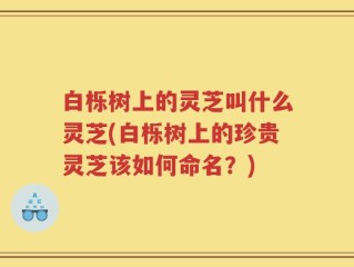 白栎树上的灵芝叫什么灵芝(白栎树上的珍贵灵芝该如何命名？)