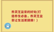 养灵芝盆景的好处(打造养生必备，养灵芝盆景让生活更健康！)